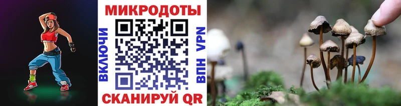 Псилоцибиновые грибы Psilocybine cubensis Руза
